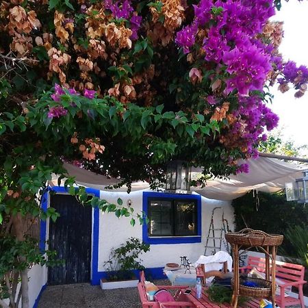 Villa Casa Con Sierra Y Con Portugal à Rosal de la Frontera Extérieur photo