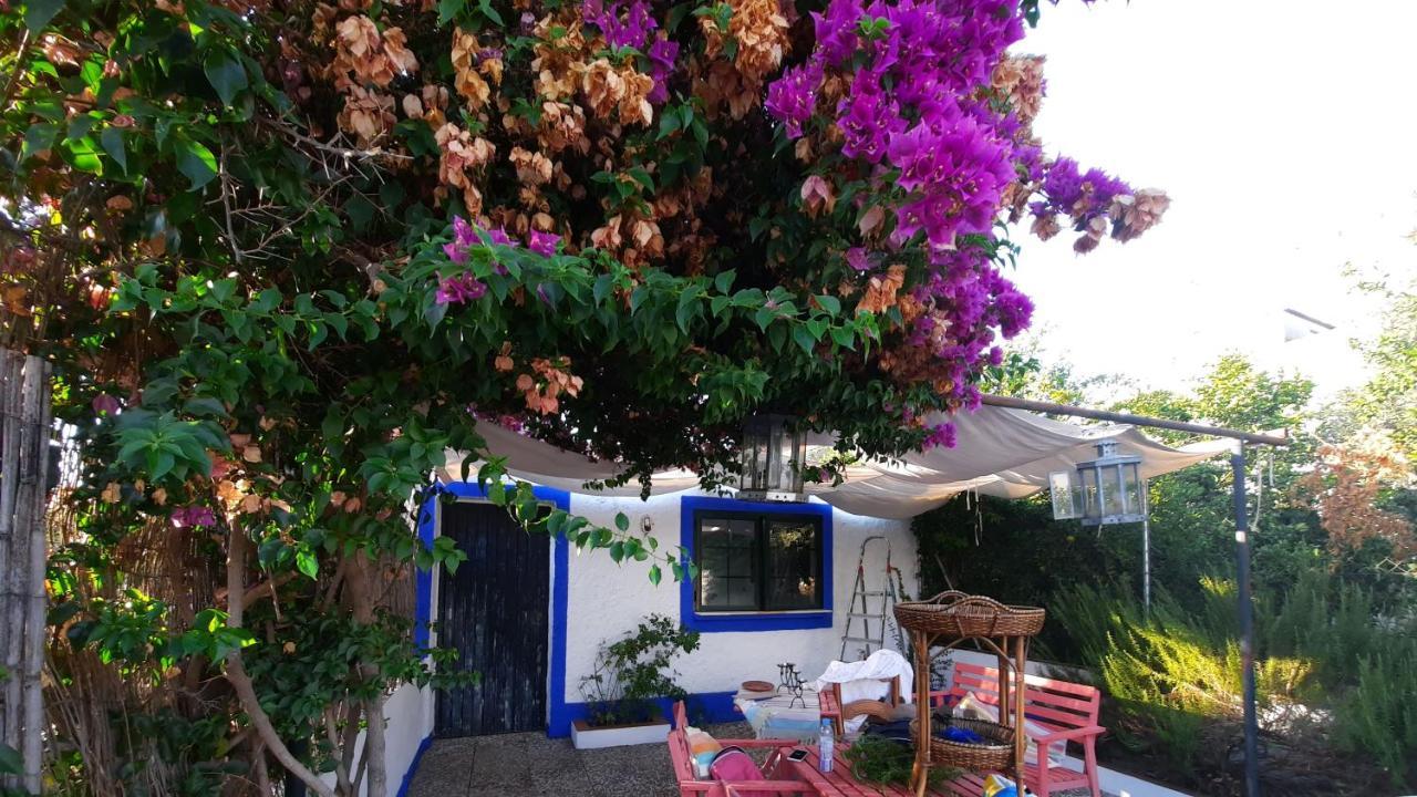 Villa Casa Con Sierra Y Con Portugal à Rosal de la Frontera Extérieur photo
